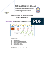 Informe 6-Microbiología (Grupo 6)