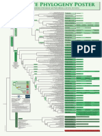 Bryophyte Phylogeny Poster (BPP) - Systematics and Characteristics of Nonvascular Land Plants (Mosses, Liverworts and Hornworts) v7 (2019)