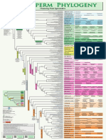 Angiosperm Phylogeny Poster (APP)- Flowering Plant Systematics v3 [2019]