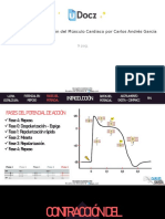 Fisiologia Contraccion Del Musculo Cardiaco Por Carlos Andres Garcia 1 Downloable