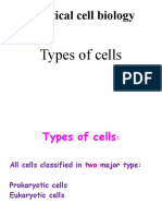 Cell Biology Lab 2