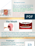 Digestive System Ppt2