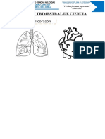 Examen Trimestral de Ciencia