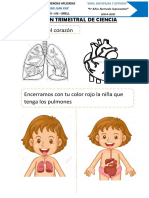 Examen Trimestral de Ciencia