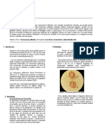 Informe cromosomas politénicos (1).doc