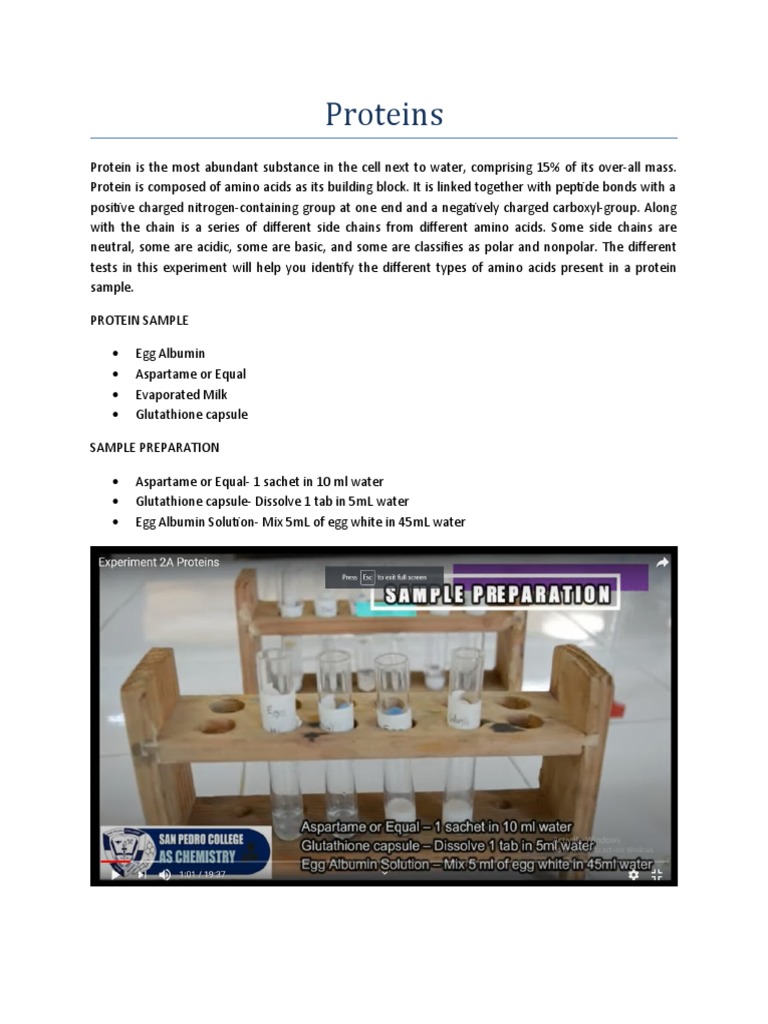 Proteins PDF Denaturation (Biochemistry) Proteins