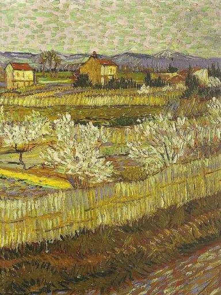 Biologia Vegetal Peter H Raven 5