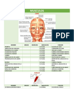 Matriz Musculos