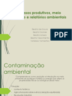 Processos Produtivos e Meio Ambiente