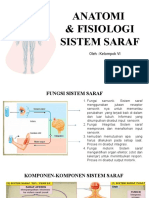 SISTEM SARAF DAN FUNGSINYA