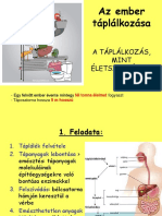 A Táplálkozás Szervrendszere