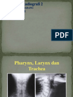 Anatomi Pharynx Larynx Trachea