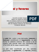 01 - Piel y Faneras