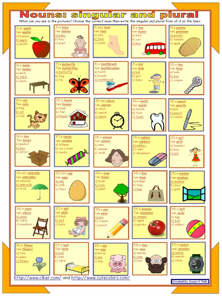 What Can You See in The Pictures? Choose The Correct Noun Then Write