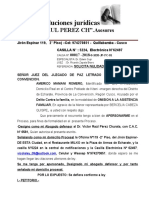 Solicita Nulidad de Acto Procesal Americo Mamani