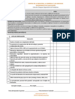 Modelo de Instrumento de Evaluación - CIES - 2020