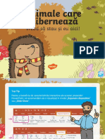 Vreau Sa Stau Si Eu Aici! Animalele Care Hiberneaza – Prezentare PowerPoint