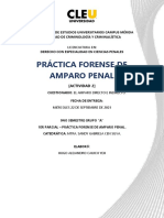 Forense de Amparo