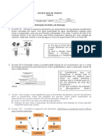 Atividade Periodica 1 Ano 1 Quadrimestre Cadeia Alimentar Fotossintese e Fluxo de Energia