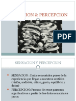 Sensacion y Percepcion