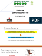 Somatossensorial Revendo Fisiologia