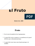 Fruto