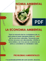 Presentacion 5 Economía Ambiental