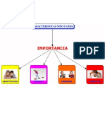 Mapa Conceptual Caracteristicas