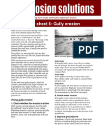 Fact Sheet 5 Gully Erosion