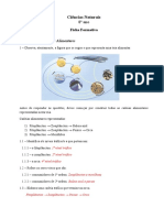 Ciências Naturais-Ficha Formativa