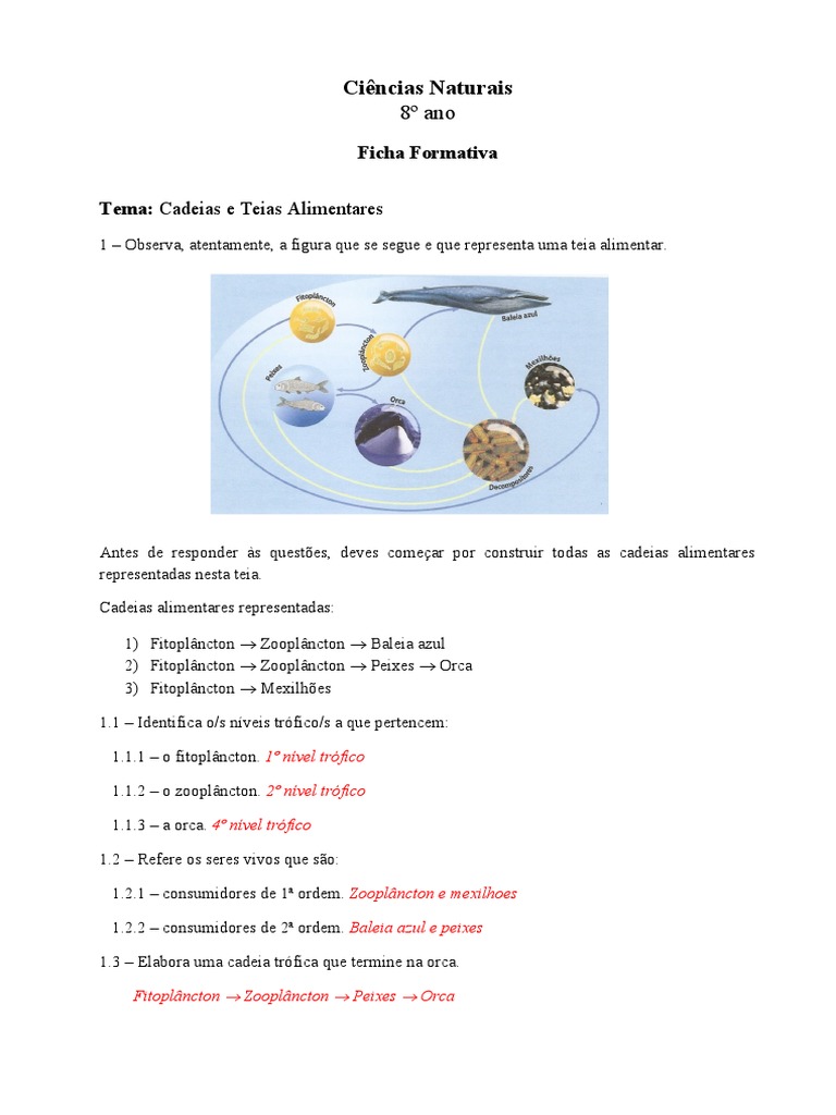 cadeias-e-teias-alimentares-no-8-ano-pdf