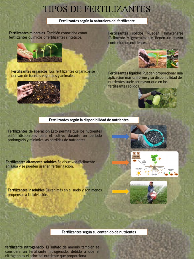 Clasificación de Fertilizantes Esenciales | PDF