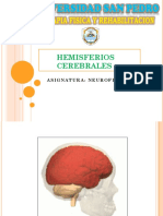 Hemisferios cerebrales: estructura y funciones de las áreas corticales