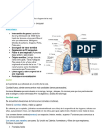 Aparato Respiratorio