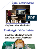 Radiologia Veterinária Part 2 - Prof. Mauricío Goulart