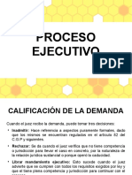 Proceso Ejecutivo