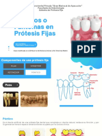 CLASE Ponticos Protesis Fija II
