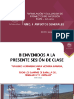 Unid. 1 Aspectos Generales: Formulación Y Evaluación de Proyectos de Inversión Filial - Juliaca