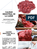 CLASE 12. Calidad Industrial de La Carne