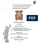 Pericia - Grupo 5 PDF