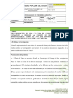 Formaro Propuesta de Investigación - Seminario Epa-2021