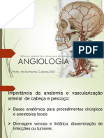 Angiologia Aula