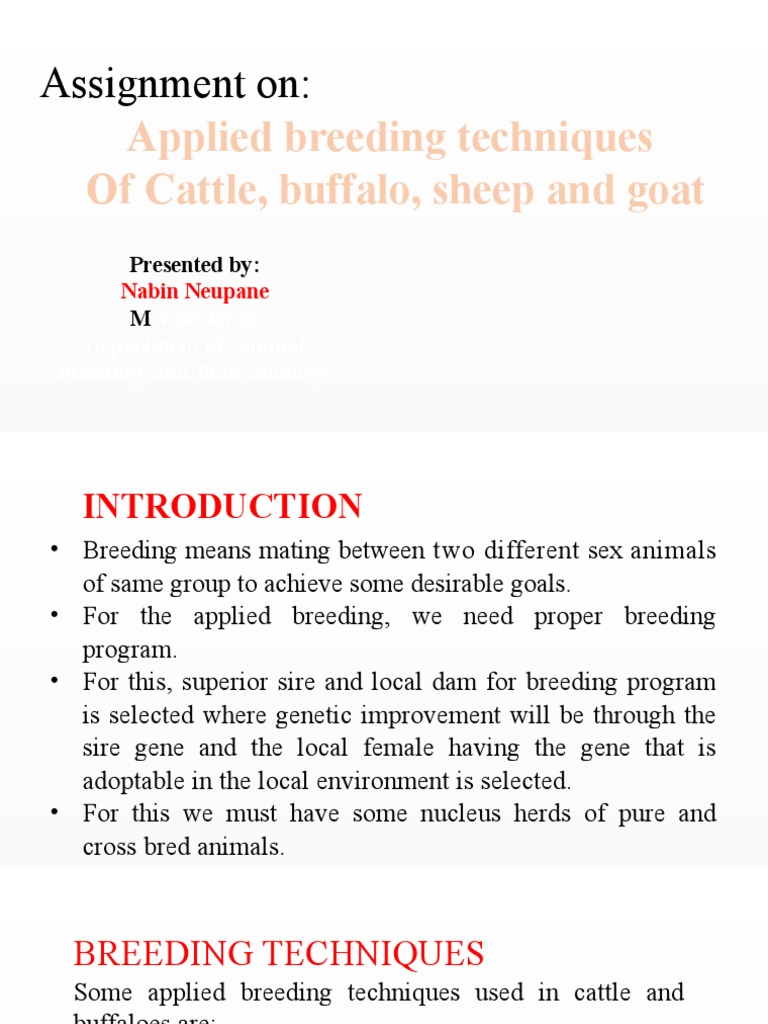 Animal Breeding Process Pdf | Animal Breeding Methods – DBJZDW