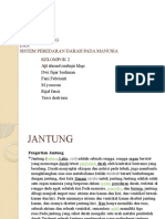 Fungsi Jantung Kel 2