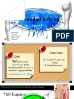 Extremidad inferior: funciones, partes y enfermedades