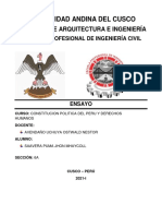 La Constitución Politica Del Perú Debe Ser Modificada - Saavedra Puma Jhon Mhaycoll