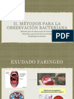 II. Métodos para La Observación Bacteriana