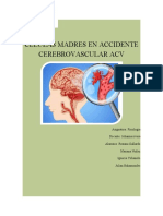 Celulas Madres en Accidente Cerebrovascular Acv