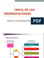 Bioquímica de Las Fermentaciones