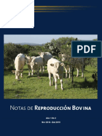 Reproducción bovina: Factores que afectan la fertilidad